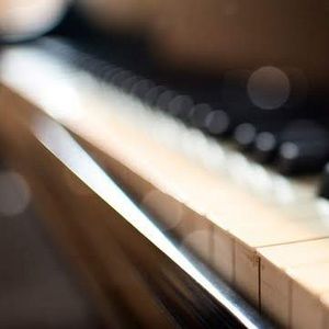 Meet your Posher, Nora